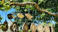 Mang Den 2 days tour: Exploring the Da Lat of the Central Highlands